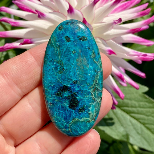 Chrysocolla Cabochon - 13