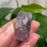 Purple Apatite Crystal - 8