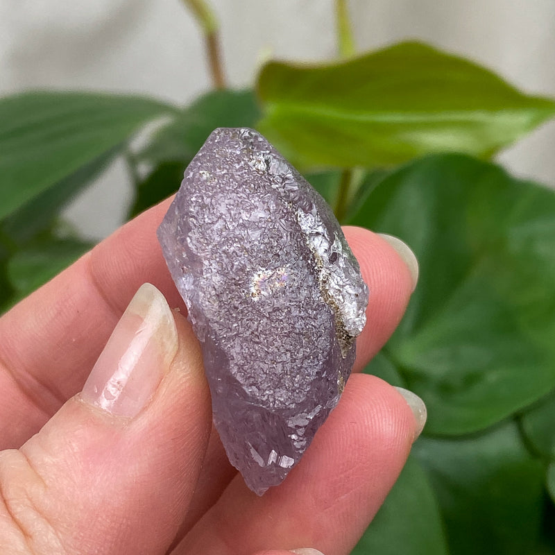 Purple Apatite Crystal - 8