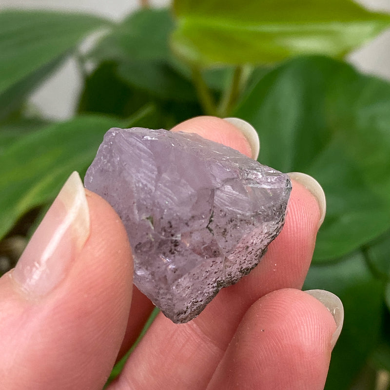 Purple Apatite Crystal - 19