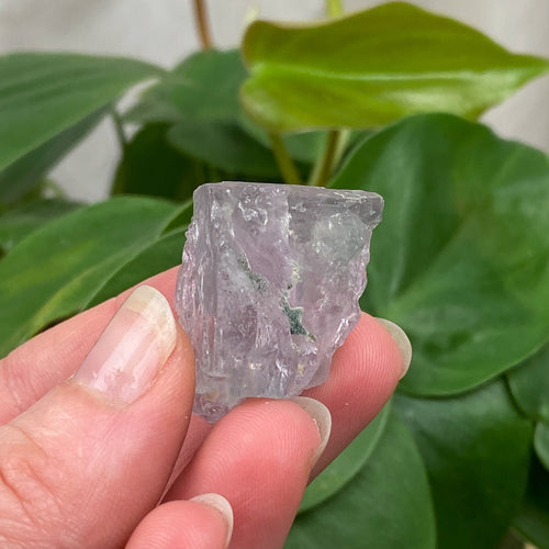 Purple Apatite Crystal - 24