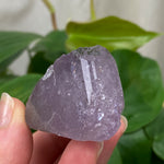 Purple Apatite Crystal - 31