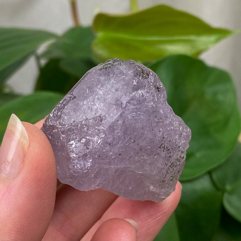Purple Apatite Crystal - 31